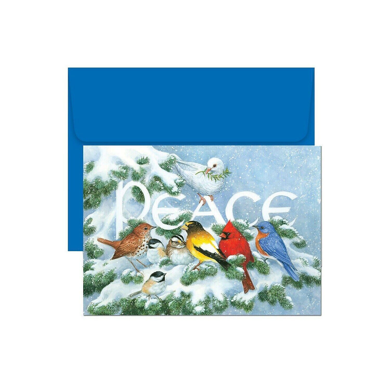 Jam Paper Christmas Cards Set Birds On Branch 18/pack (526796600)